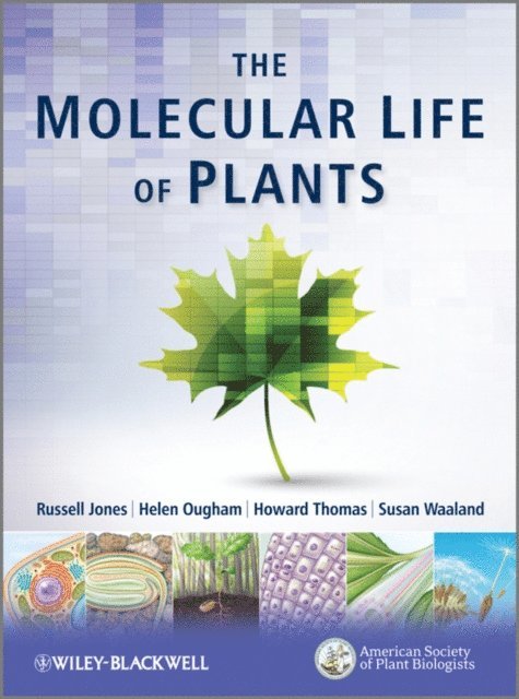 Susan Waaland, Howard Thomas, Helen Ougham, Russell L. Jones - Molecular Life of Plants, E-bok