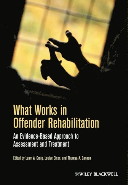 Louise Dixon, Theresa A. Gannon, Leam A. Craig - What Works in Offender Rehabilitation, E-bok