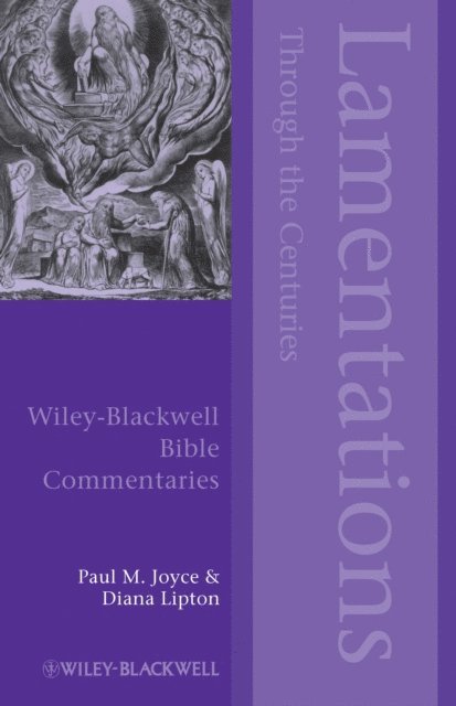 Diana Lipton, Paul M. Joyce - Lamentations Through the Centuries, E-bok