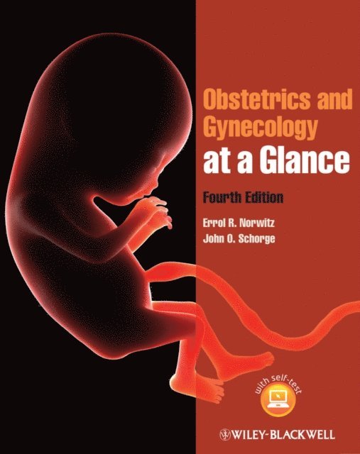 John O. Schorge, Errol R. Norwitz - Obstetrics and Gynecology at a Glance, E-bok