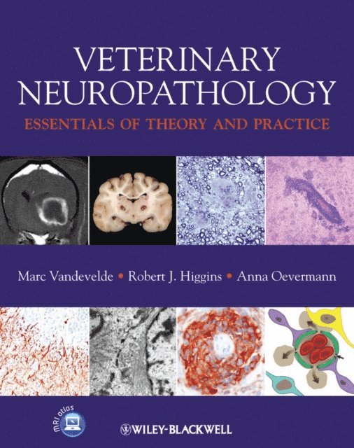 Anna Oevermann, Robert Higgins, Marc Vandevelde - Veterinary Neuropathology, E-bok. Tillgänglighet: Lägg i varukorg