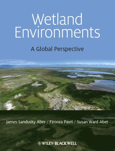 Susan E. W. Aber, Firooza Pavri, James S. Aber - Wetland Environments, E-bok