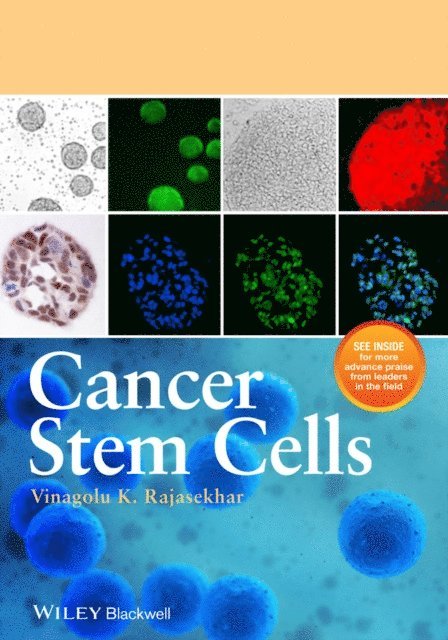 Vinagolu K. Rajasekhar - Cancer Stem Cells, E-bok