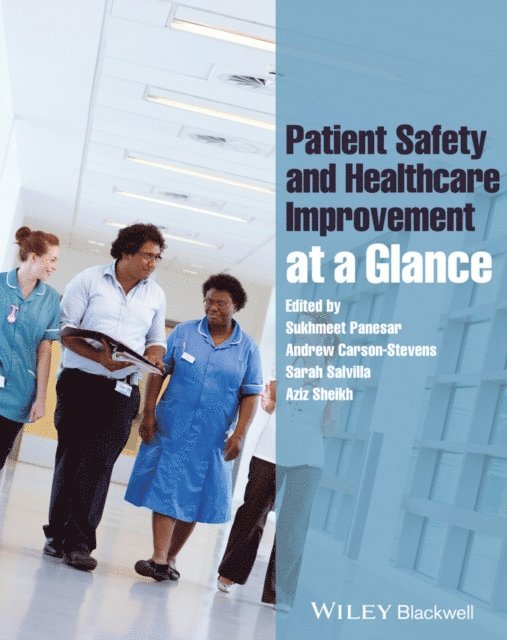 Aziz Sheikh, Sarah Salvilla, Andrew Carson-Stevens, Sukhmeet Panesar - Patient Safety and Healthcare Improvement at a Glance, E-bok