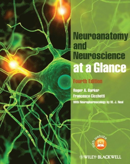Francesca Cicchetti, Roger A. Barker - Neuroanatomy and Neuroscience at a Glance, E-bok