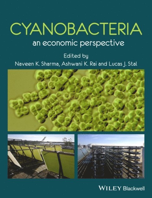 Lucas J. Stal, Ashawani K. Rai, Naveen K. Sharma - Cyanobacteria, E-bok