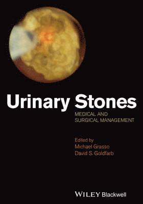 Michael Grasso, Michael Grasso, David Goldfarb - Urinary Stones, Inbunden