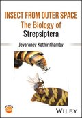Insect from Outer Space