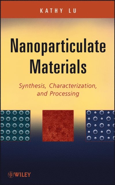 Kathy Lu - Nanoparticulate Materials, E-bok