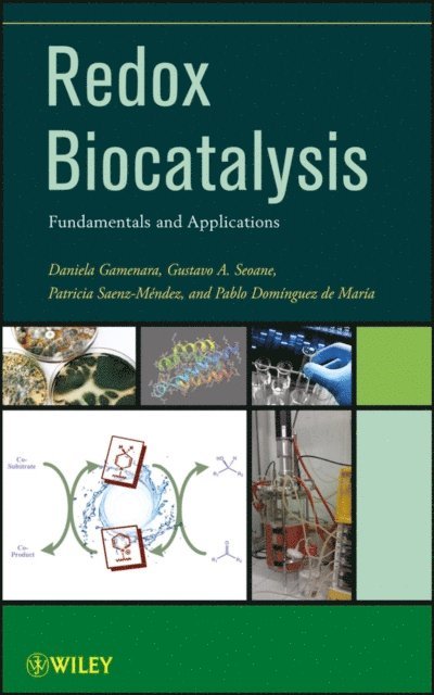 Pablo Dom nguez de Mar a, Patricia Saenz M ndez, Gustavo Seoane, Daniela Gamenara - Redox Biocatalysis, E-bok