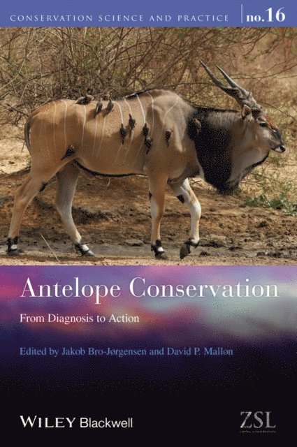 David P. Mallon, Jakob Bro-Jorgensen - Antelope Conservation, E-bok