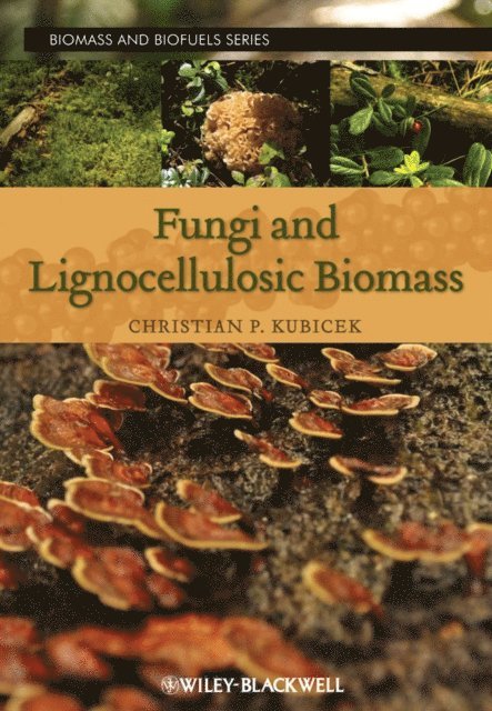 Christian P. Kubicek - Fungi and Lignocellulosic Biomass, E-bok