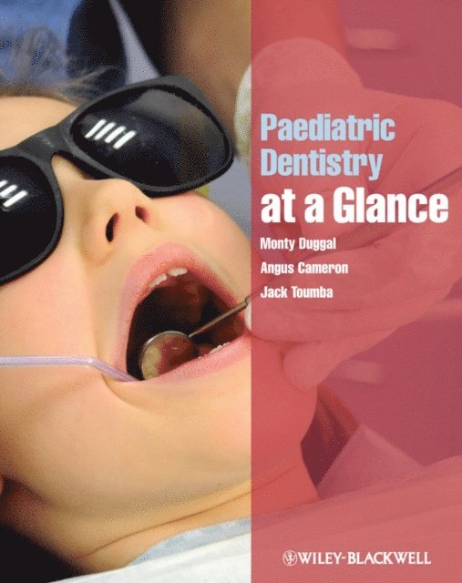 Jack Toumba, Angus Cameron, Monty Duggal - Paediatric Dentistry at a Glance, E-bok