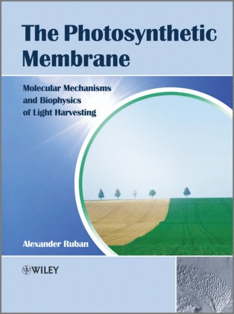 Alexander V. Ruban - Photosynthetic Membrane, E-bok