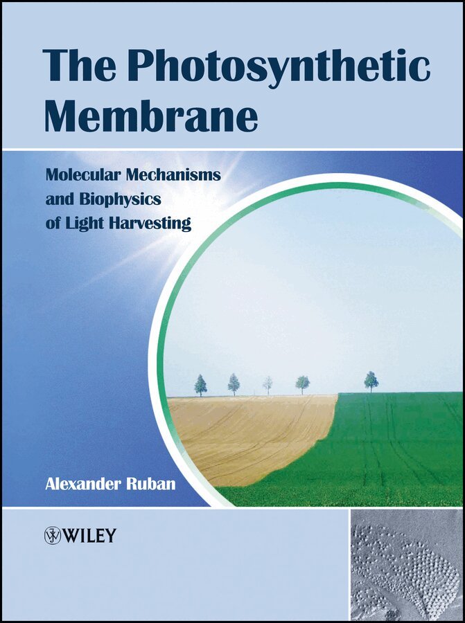 Alexander V. Ruban - Photosynthetic Membrane – Molecular Mechanisms and Biophysics of Light Harvesting. Tillgänglighet: Tillfälligt slut
