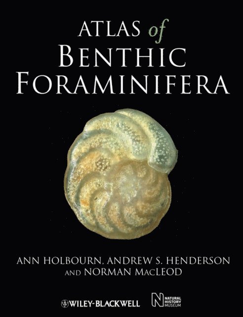 Norman Macleod, Andrew S. Henderson, Ann Holbourn - Atlas of Benthic Foraminifera, E-bok