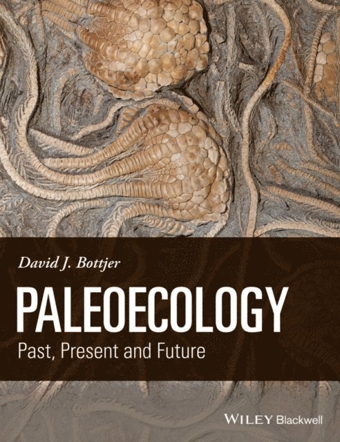 David J. Bottjer - Paleoecology, E-bok