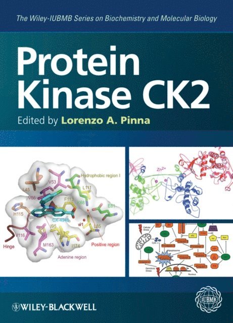 Lorenzo A. Pinna - Protein Kinase CK2, E-bok