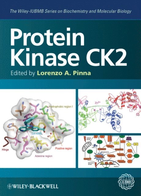 Lorenzo A. Pinna - Protein Kinase CK2, E-bok