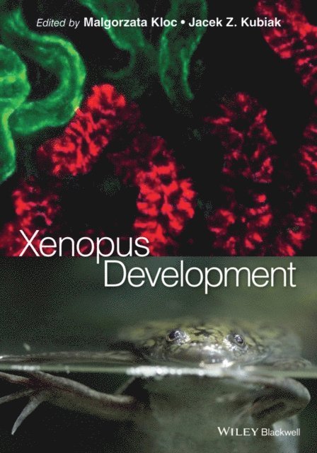 Jacek Z. Kubiak, Malgorzata Kloc - Xenopus Development, E-bok