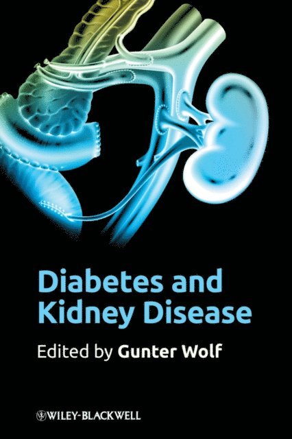 Gunter Wolf - Diabetes and Kidney Disease, E-bok