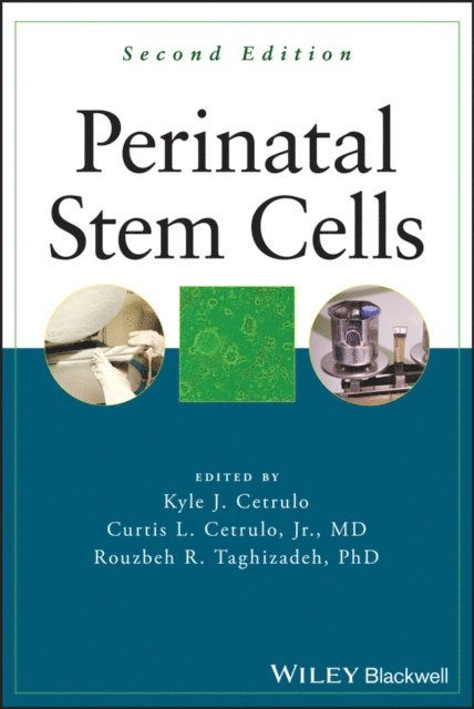 Rouzbeh R. Taghizadeh, Jr. Curtis L. Cetrulo, Kyle Cetrulo - Perinatal Stem Cells, E-bok