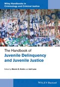 Handbook of Juvenile Delinquency and Juvenile Justice
