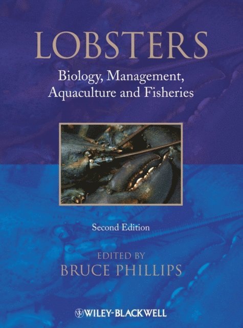 Bruce Phillips - Lobsters, E-bok