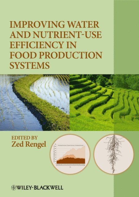 Zed Rengel - Improving Water and Nutrient-Use Efficiency in Food Production Systems, E-bok