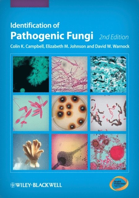 Elizabeth M. Johnson, Colin K. Campbell, David W. Warnock - Identification of Pathogenic Fungi, E-bok