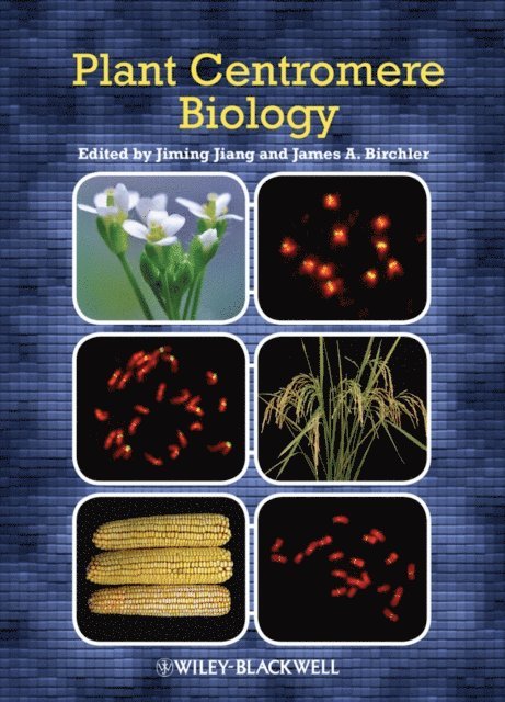 James A. Birchler, Jiming Jiang - Plant Centromere Biology, E-bok