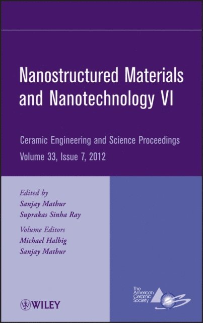 Suprakas Sinha Ray, Sanjay Mathur - Nanostructured Materials and Nanotechnology VI, Volume 33, Issue 7, E-bok