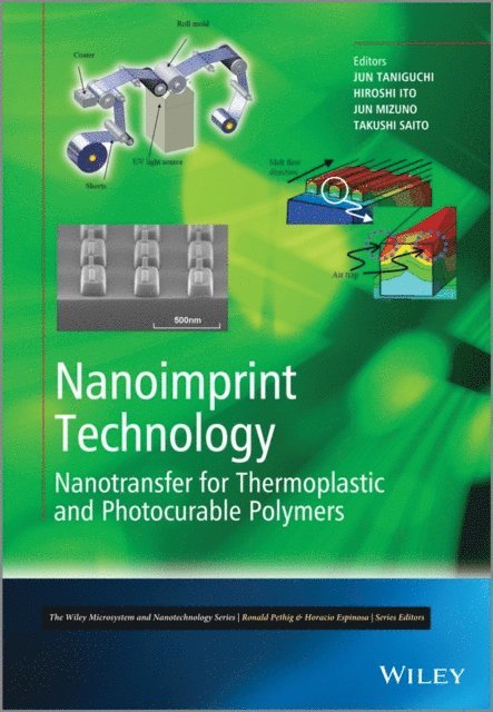 Takushi Saito, Jun Mizuno, Hiroshi Ito, Jun Taniguchi - Nanoimprint Technology, E-bok
