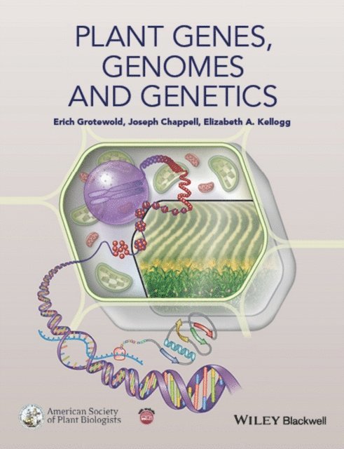 Elizabeth A. Kellogg, Joseph Chappell, Erich Grotewold - Plant Genes, Genomes and Genetics, E-bok