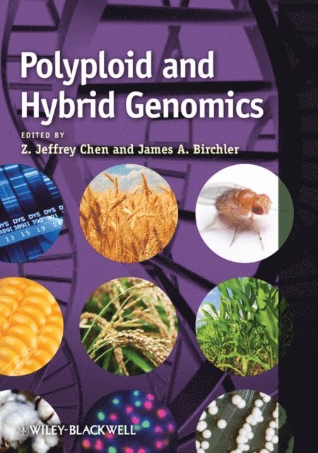 James A. Birchler, Z. Jeffrey Chen - Polyploid and Hybrid Genomics, E-bok