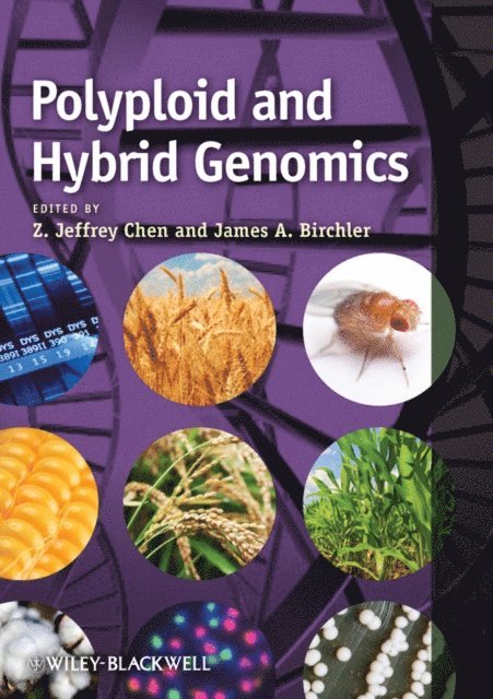 James A. Birchler, Z. Jeffrey Chen - Polyploid and Hybrid Genomics, E-bok