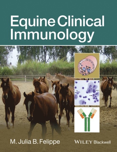 M. Julia B. Felippe - Equine Clinical Immunology, E-bok