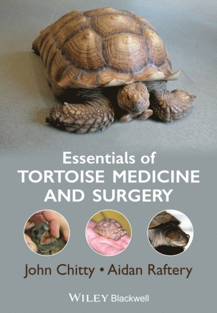Aidan Raftery, John Chitty - Essentials of Tortoise Medicine and Surgery, E-bok
