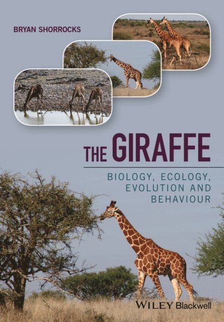 Bryan Shorrocks - Giraffe, E-bok