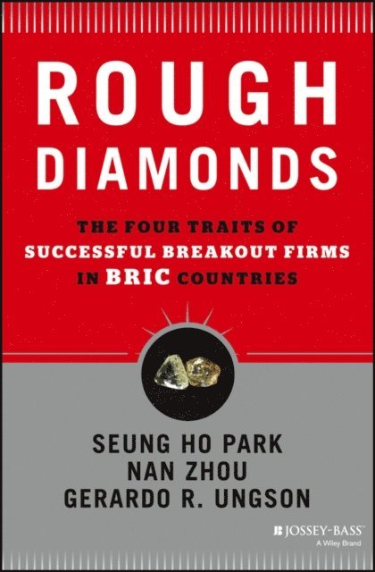 Nan Zhou, Gerardo R. Ungson, Seung Ho Park - Rough Diamonds, E-bok