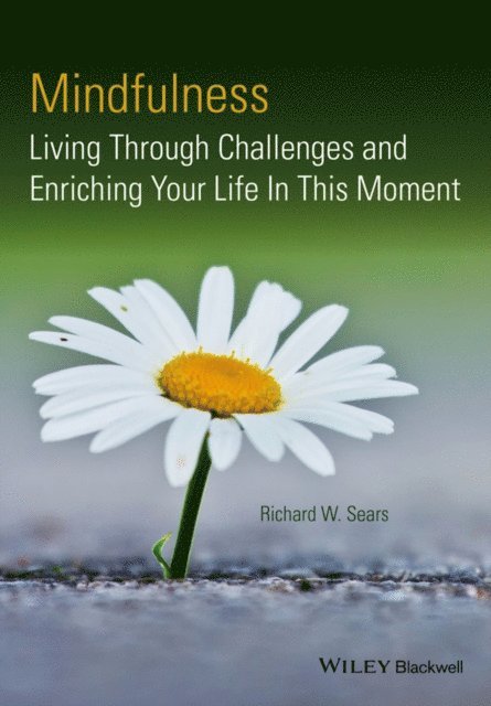 Richard W. Sears - Mindfulness, E-bok