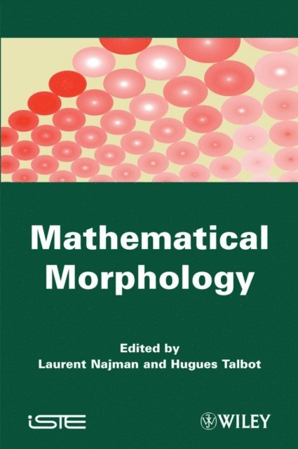 Hugues Talbot, Laurent Najman - Mathematical Morphology, E-bok
