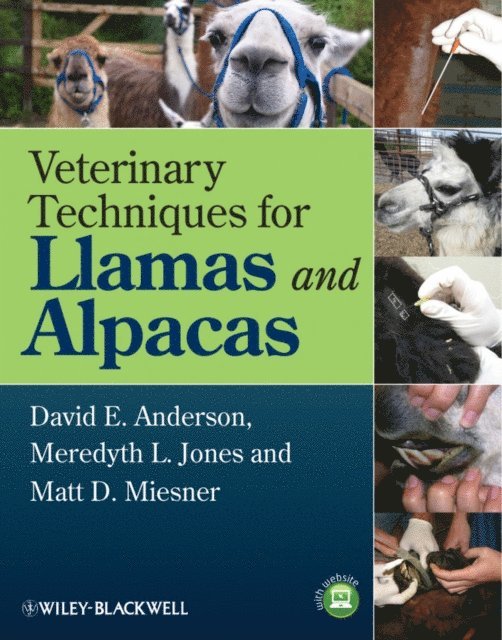 Matt D. Miesner, Meredyth L. Jones, David E. Anderson - Veterinary Techniques for Llamas and Alpacas, E-bok