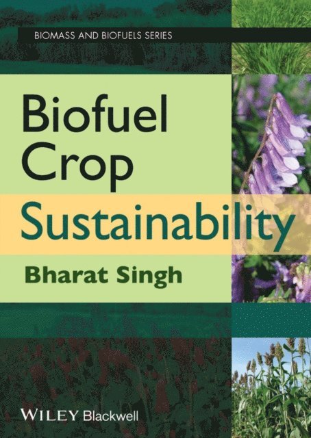 B. B. Singh - Biofuel Crop Sustainability, E-bok
