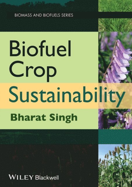 B. B. Singh - Biofuel Crop Sustainability, E-bok