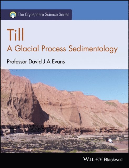 David J. A. Evans - Till, E-bok