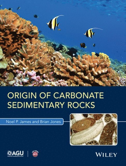 Brian Jones, Noel P. James - Origin of Carbonate Sedimentary Rocks, E-bok