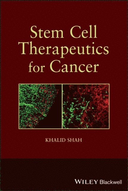 Khalid Shah - Stem Cell Therapeutics for Cancer, E-bok