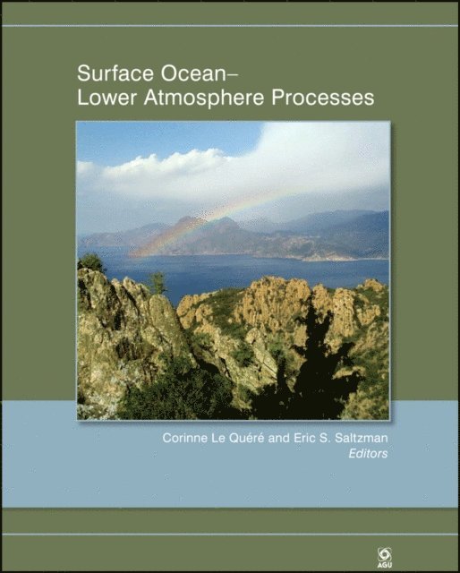 Eric S. Saltzman, Corinne Le Qu r - Surface Ocean, E-bok