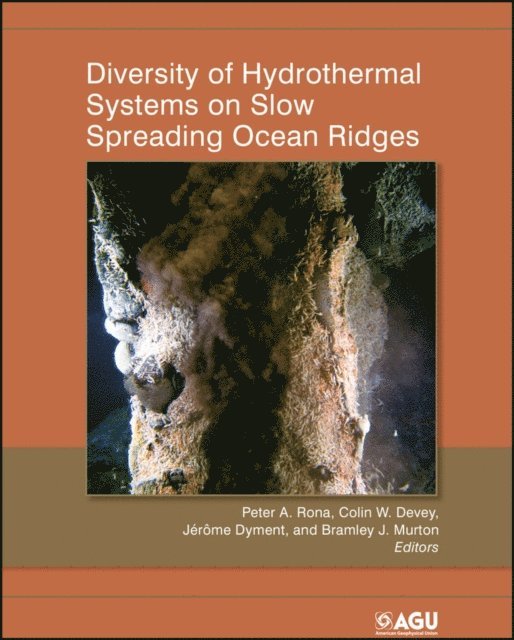 Bramley J. Murton, J r me Dyment, Colin W. Devey, Peter A. Rona - Diversity of Hydrothermal Systems on Slow Spreading Ocean Ridges, E-bok